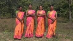 ગામ પાસે ફરતા 10-12 વાઘથી પોતાનાં બાળકોને બચાવવાનું બીડું ઉપાડનાર મહિલાઓની કહાણી