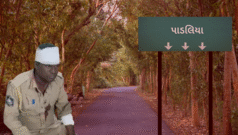 બનાસકાંઠા : પોલીસ સહિત સરકારી કર્મીઓ પર હુમલો થયો એ પાડલિયા ગામ કેવું છે અને લોકો શું કરે છે?