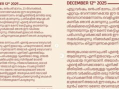 ‘നിയമത്തിന്റെ മുൻപിൽ ഈ രാജ്യത്തെ എല്ലാ പൗരന്മാരും തുല്യരല്ല’ തിരിച്ചറിവ് നൽകിയതിന് നന്ദി; പ്രതികരണവുമായി അതിജീവിത
