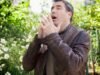 Hay fever raises car crash danger