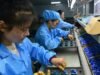 China’s factory activity slows in May