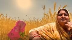 ગુજરાત: આકરી ગરમીમાં ખેતીકામ કરતી મહિલાઓની કપરી સ્થિતિ