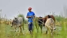 কোরবানি কার নামে হবে, কী বলে ইসলাম?