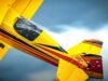 Flight of fancy as top pilot flips through the sky