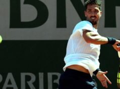 Brave Kokkinakis bid ended by another cruel injury