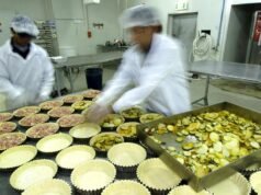Small business switched off from electrification boom