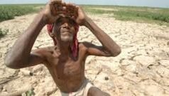 मान्सूनला एल निनोचा फटका, यंदा सरासरीपेक्षा 90 टक्केच पाऊस, राज्यात ‘इथे’ सर्वाधिक परिणाम