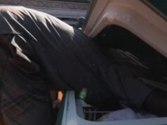 17-year-old creates history, puts his head inside cooler to escape heatwave