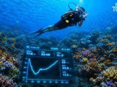 I jumped into the ocean to discover what it does to the human body