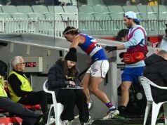 Dogs defender takes down Wizard – and abusive fan