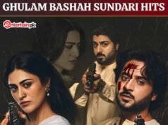 3 new entries: Full list of 28 Pakistani dramas in 1 Billion views club