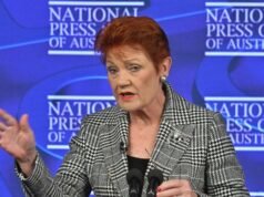 One Nation must deliver on Australia’s problems to win