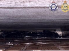 Police allegedly find 110kg of cocaine inside frozen berry container in shipment from Chile