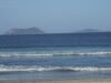Male diver, 35, killed by shark off Albany, Western Australia