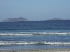 Male diver, 35, killed by shark off Albany, Western Australia