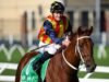 Aussie mare fancied to emulate Nature Strip at Ascot