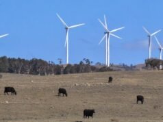 Super funds lagging on direct renewables investment