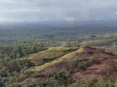 Alarm bells over land clearing in Queensland, NSW after landmark ‘citizen’s’ report
