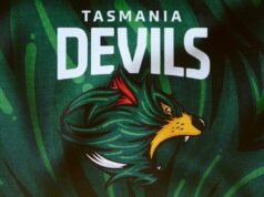 ‘Hit the timelines’: AFL says Devils, stadium on track