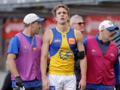 Suns battle fine, Kangaroos fight ban at tribunal