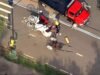 New York: Young man dies after horse-drawn carriages collide in ‘devastating’ crash at Central Park