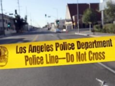 Girlfriend’s son charged over actor’s stabbing death