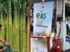 E85, E100, विमा, उसाचा रस? इथेनॉलवर तुमच्या मनातल्या 10 प्रश्नांची उत्तरं
