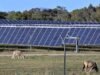 Tardy approvals leaving clean energy dollars in limbo