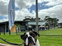 RSPCA to hold action day as animal cruelty reports in City of Belmont jump by a third