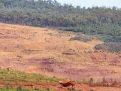 Call for reform amid rampant land clearing, nature loss