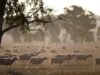 Watchdog flooded with complaints as dry spell persists