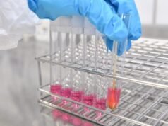 Deadly bird flu strain a ‘serious concern’ for wildlife