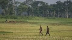 ‘পুশব্যাক’ নিয়ে আলোচনা দিল্লিতে বিএসএফ-বিজিবির বৈঠকে