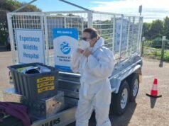 Agricultural sector braces for deadly bird flu threat