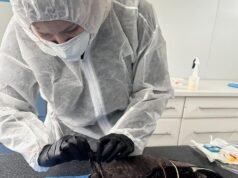 Third bird tests positive for bird flu in South Australia, another tested in Western Australia