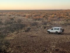 These artists pay $350 a tank and are driving 2500km