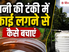 पान ी क ी टंक ी मे ं कभ ी नही ं लगेग ी काई, 1 सिंपल नुस्ख ा कर देग ा काम आसान