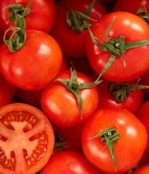 Desi_Vs_Hybrid_Tomatoes_1782018472709_1782018473004_a0ff94f4-0286-4c0b-8346-8be80ea1a1da.jpg