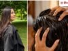 कटरीना कैफ की तरह चाहती हैं लंबे-घने बाल? तो एक्ट्रेस की सास की तरह ये तेल बनाकर हफ्ते में 2 बार करें चम्पी