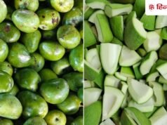 अचार बनाने के लिए कैसे खरीदें खट्टे और कच्चे आम, किसान ने बताए खट्टा आम पहचानने 3 आसान तरीके