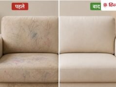 लेदर हो या कपड़े वाला सोफा, मिनटों में साफ हो जाएंगे पेन-मार्कर के जिद्दी निशान! जान लें ये 3 आसान ट्रिक्स