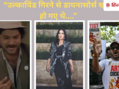 ‘मैं खूबसूरत…’, कॉकरोच जनता पार्टी के सपोर्ट में उतरीं ऋचा चड्ढा, शेयर किया मिस्टर इंडिया का ये सीन