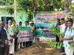 ଷ୍ଟେଟ୍ ବ୍ୟାଙ୍କ ଆଗରପଡା ଶାଖାର ବୃକ୍ଷରୋପଣ