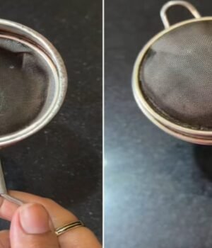 Tea_Strainer_Cleaning_Hack_1781788884162_1781788888856_e8d7cdb9-ae76-44a8-a7e1-d4cd3068d685.jpg