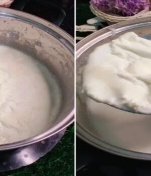 Thick_Malai_Tips_1782299107845_1782299113318_818617ee-97f6-4c03-9cba-1e260ca13586.jpg