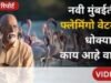 ग्राऊंड रिपोर्ट : नवी मुंबईतील फ्लेमिंगो वेटलँड धोक्यात? नेमका वाद काय?