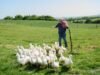 British TV legend Jeremy Clarkson announces cancer diagnosis in new episode of Clarkson’s Farm