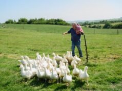 British TV legend Jeremy Clarkson announces cancer diagnosis in new episode of Clarkson’s Farm