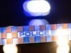 CCTV camera weapon of choice in alleged violent assault