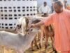 गाय को राष्ट्रीय पशु घोषित करने की मुस्लिम धर्मगुरुओं की मांग पर क्या बीजेपी असमंजस में है?